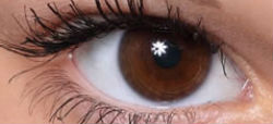 ojo